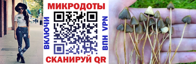 цены наркотик  Козловка  Галлюциногенные грибы GOLDEN TEACHER 
